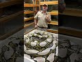 Giant SNAKE Giant BITE!