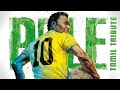 Rest In Peace Pelé Manithan Mun Sellada The KIng Of Football Tamil Tribute