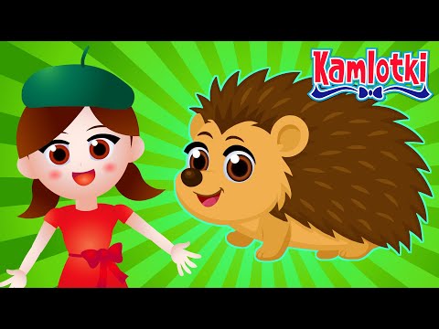 JEŻ TO NOCNY ZWIERZ - Piosenka dla dzieci - Kamlotki 🦔