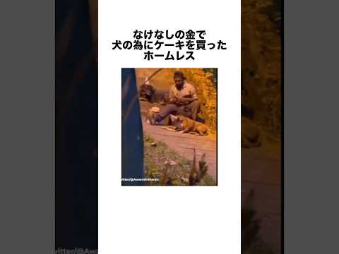 なけなしのお金を犬の為に使うホームレス#いぬ#感動#雑学