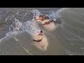 When Your Dog Can T Wait For His First Ocean Encounter Funny Dogs And Water