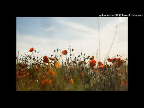 Az, FPLM e  Imamo Agy - Quero contar uma historia