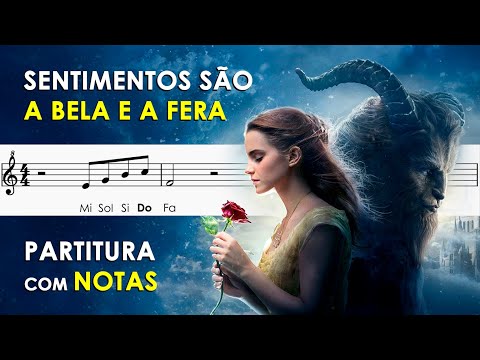 A Bela e a Fera - Sentimentos - Temas de Filmes