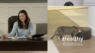 PetSafe 🐾 “Stay Cool / Consistent / FreshFeed” — What It Refers To