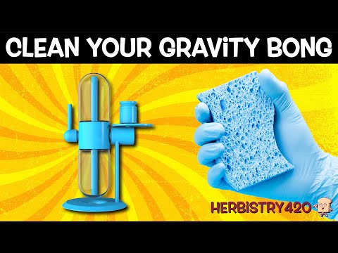 How to Clean Your Gravity Bong: 5 Essential Steps
