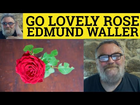 🔵 Go Lovely Rose Poem by Edmund Waller - Summary Analysis - Go Lovely Rose by Edmund Waller
