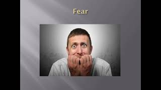 FEAR - Pat Callaghan, DTM