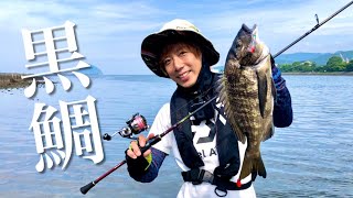 スレた黒鯛を簡単にヒットさせる釣り方【ライトチニング】が凄い!