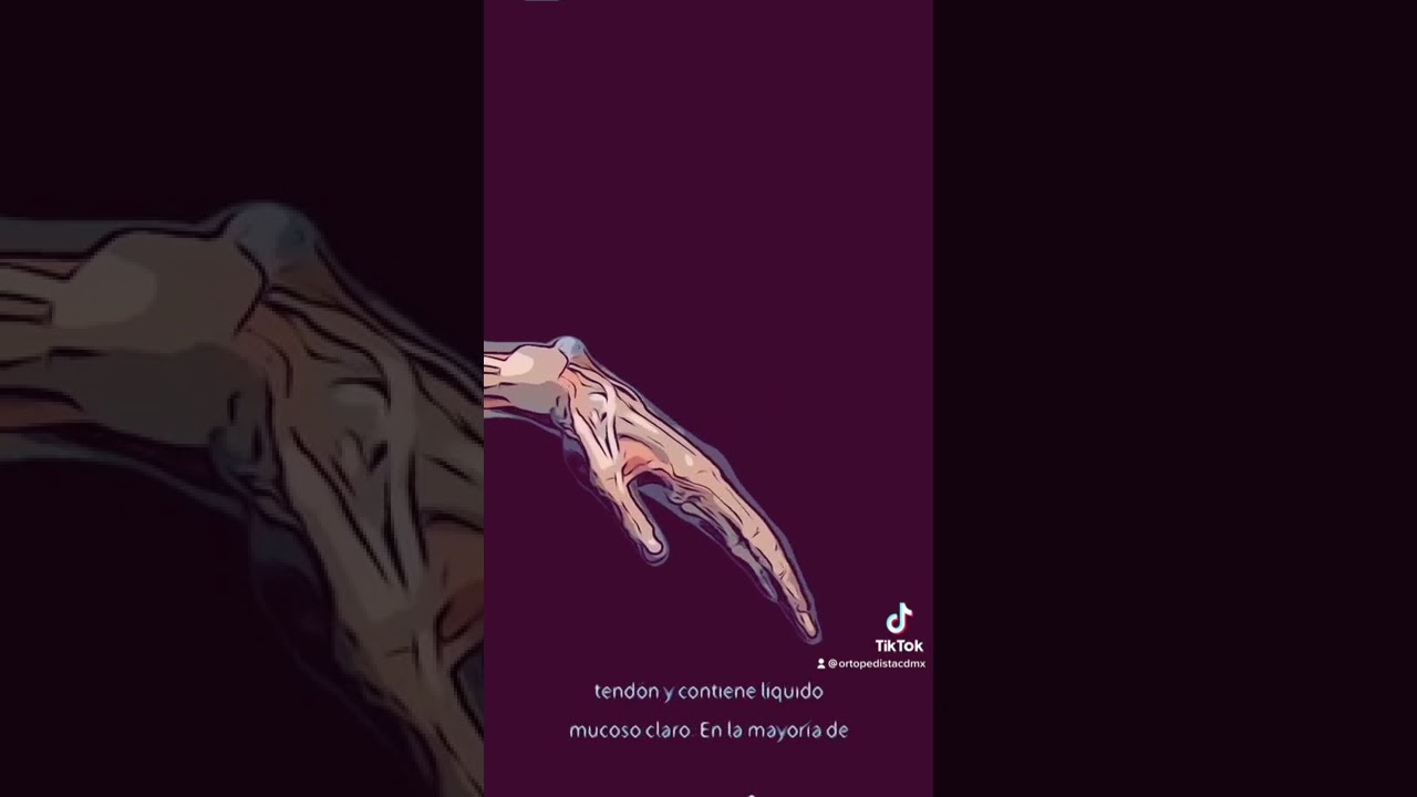 Jaime Sánchez Sandoval-5