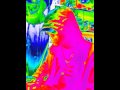 Sammy Seagull How I Refuse To Lose MUSIC VIDEO Prod By Necro