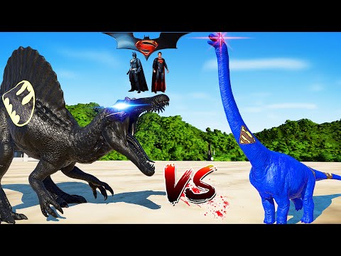 (Jurassic World Evolution🌍) Batman Spinosaurus VS Superman Brachiosaurus Dinosaurs Fight