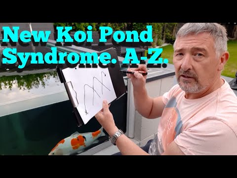 NEW POND SYNDROME,**HIGH AMMONIA/ NITRITE** STARTING NEW KOI POND FILTERS**how to get through it..😉👍