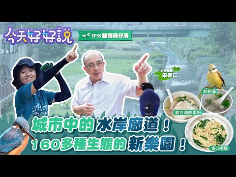 [Boas notícias de hoje] EP55 Castle City Central Waterfront Corridor! Novo jardim ecológico de 160 espécies!