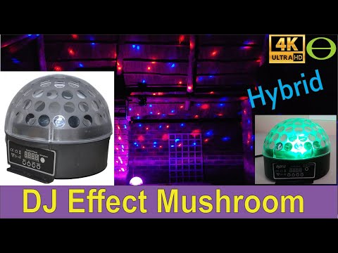 download lagu mp3 mp4 Hybrid Mushroom Light, download lagu Hybrid Mushroom Light gratis, unduh video klip Hybrid Mushroom Light