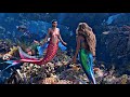 Humans The Little Mermaid
