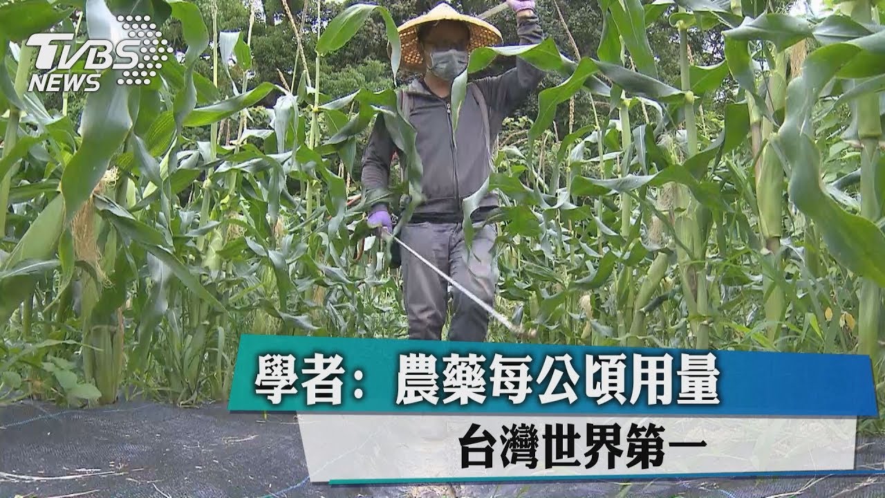 學者:農藥每公頃用量 台灣世界第一