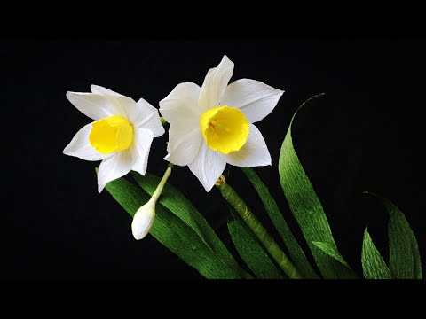 ABC TV | How To Make Daffodils Flower From Crepe Paper #2 - Craft Tutorial