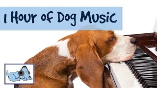 OVER 1 HOUR OF RELAXING DOG MUSIC! Music for Dogs; Stop Barking! Great for Crate Training 🐶 RMD02