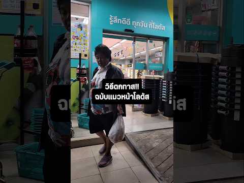 โดนแมวหน้าโลตัสตก555#ซุปตาร์หน้าแมว #แมวน่ารัก #ทาสแมว