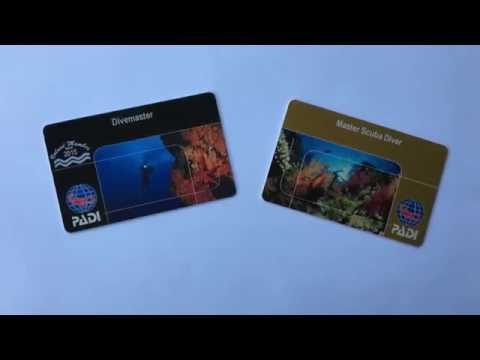 The Difference Between a PADI Master Scuba Diver and a Divemaster
