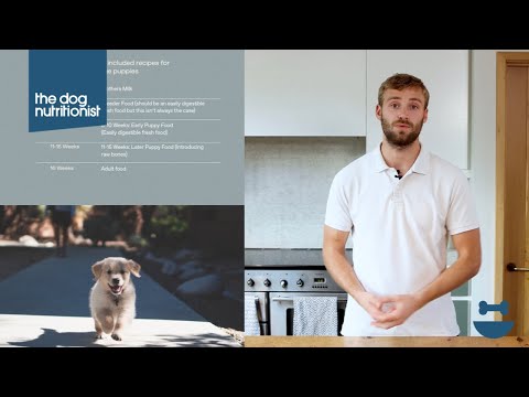 Feeding a Puppy vs. Dogs | Dog Nutrition Lessons | Ep 6b.