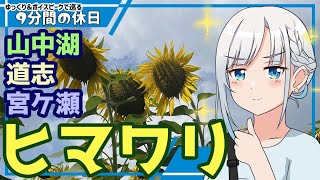 【ゆっくり＆ボイピ車載】夏の終わりの山中湖道志宮ケ瀬ドライブ～その2＜9分間の休日＞