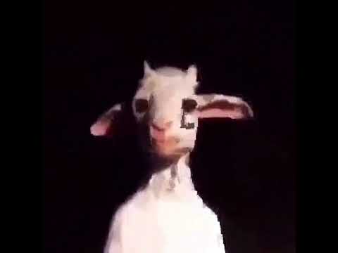 ef þeir vilja beef sped up