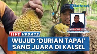 Kulik Kisah Awal Penamaan Durian Mahal Si Tapai dan Si Pengantin yang Jadi Primadona di Banjarbaru