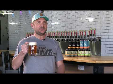 VCA Fly Llama Brewery