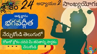 bhagavad Gita chapter 2 verse 24||sankyayoga|| భగవద్గీత 2వ అధ్యాయం శ్లోకం 24|| divine touch telugu