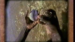 Yothu Yindi - Dots on the Shell
