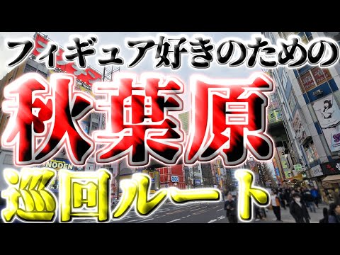 [2025 Edition] Introducing the recommended route in Akihabara for figure lovers [I actually walke...