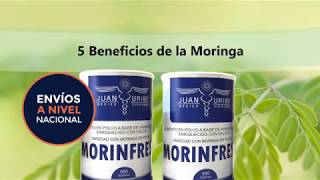 Moringa: un super alimento