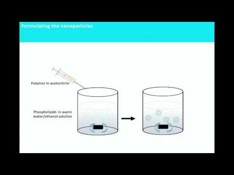 5th Annual TMII Symposium - 2015 - Session II - Nanomedicine, Selected Abstract