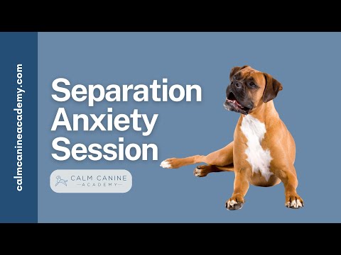 Separation Anxiety Treatment: Systematic Desensitization