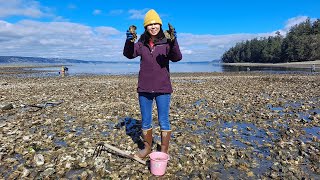 2022年もPenrose State Parkで潮干狩り