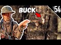 HIGH NOON BUCKS On ARKANSAS PUBLIC LAND Last Day
