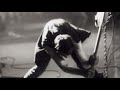 London Calling - The Clash latest remastered