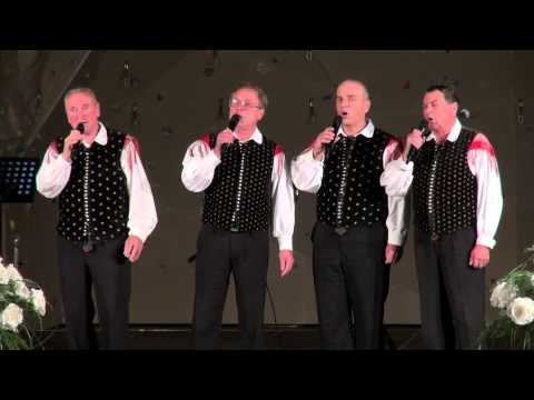 Fantje s Praprotna-Moja ljubica (v živo)