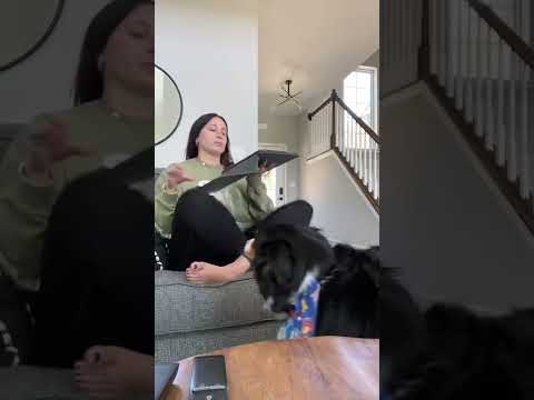 Who do I have to talk to about the 3 hour lunches? 🤔 #comedy #teachercomedy #teacher #vlog #shorts