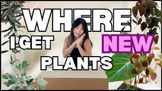 Unboxing ALL NEW Plants + Grow Lights & Answering YOUR Questions! Repotting | Houseplant Care Tips