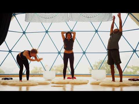 Shake Rattle and Roll - Quepasana