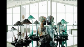 Kosta Boda Art Exhibitions - The trailing moss and mystic glow & New works