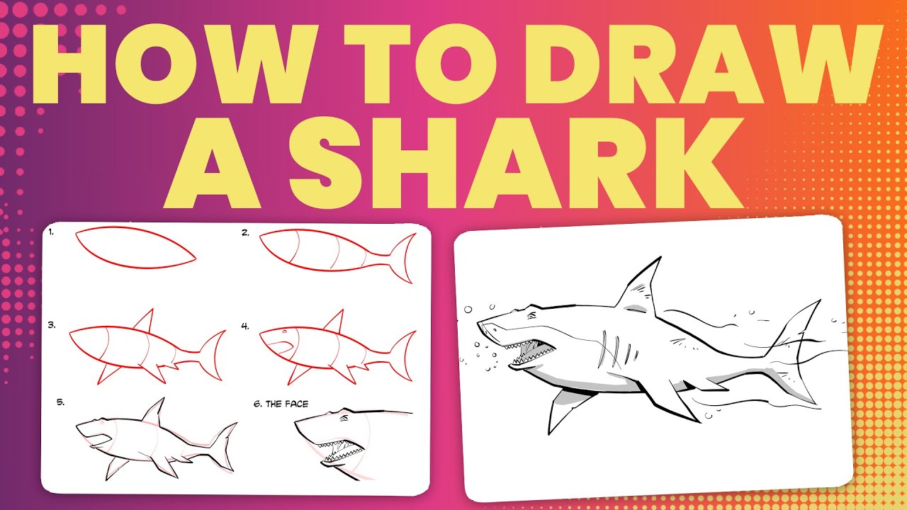 How to draw sharks