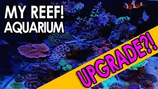Current Reef & NEW BUILD?!