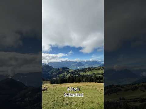 Thumbnail for A day at Mt Rigi #ExploreUniworld #cruise #travel #switzerland #rivercruise #hosted #rigi #mountrigi