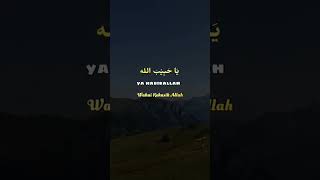 Download lagu Sholawat Ya Habibal Qolbi #shorts #sholawat mp3