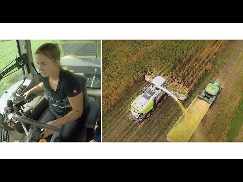 Frauenpower im Mais | 4K Jaguar 960 TERRA TRAC, John Deere 7530, Orbis 900