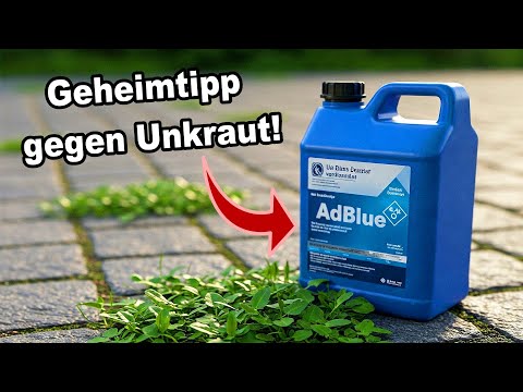 Geheimtipp? Unkraut mit AdBlue entfernen!