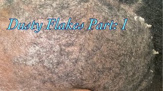 Dusty Flakes Part 1